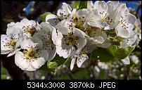 Kamera des Lumia 950 / 950 XL-wp_20160420_17_05_40_rich.jpg