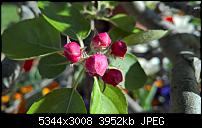 Kamera des Lumia 950 / 950 XL-wp_20160420_17_13_38_pro.jpg