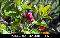 Kamera des Lumia 950 / 950 XL-wp_20160420_17_15_26_pro.jpg