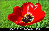 Kamera des Lumia 950 / 950 XL-wp_20160421_11_23_29_raw_635968710689279354.jpg