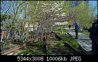 Kamera des Lumia 950 / 950 XL-wp_20160421_09_56_52_rich.jpg