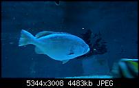 Kamera des Lumia 950 / 950 XL-wp_20160423_10_55_44_pro.jpg