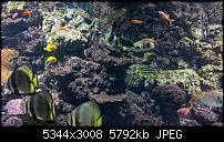 Kamera des Lumia 950 / 950 XL-wp_20160423_11_13_32_pro.jpg