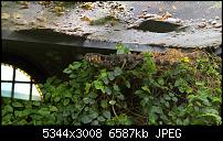 Kamera des Lumia 950 / 950 XL-wp_20160423_11_19_39_pro.jpg