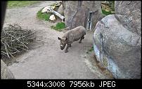 Kamera des Lumia 950 / 950 XL-wp_20160423_11_50_40_pro.jpg