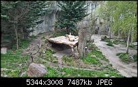 Kamera des Lumia 950 / 950 XL-wp_20160423_13_12_42_rich.jpg