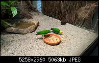 Kamera des Lumia 950 / 950 XL-wp_20160423_13_59_13_rich.jpg