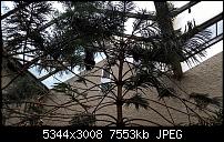 Kamera des Lumia 950 / 950 XL-wp_20160423_14_00_04_pro.jpg
