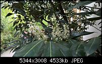 Kamera des Lumia 950 / 950 XL-wp_20160423_14_13_29_pro.jpg