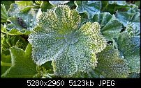 Kamera des Lumia 950 / 950 XL-wp_20160429_06_52_07_rich.jpg