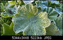 Kamera des Lumia 950 / 950 XL-wp_20160429_06_52_17_rich.jpg