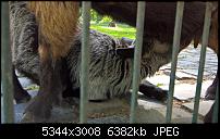 Kamera des Lumia 950 / 950 XL-wp_20160505_16_03_26_rich_li_635980745624260594.jpg