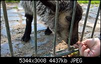 Kamera des Lumia 950 / 950 XL-wp_20160505_16_01_26_rich_li_635980746323785610.jpg
