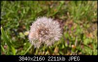 Kamera des Lumia 950 / 950 XL-wp_20160505_14_52_38_raw_635980866957269880.jpg