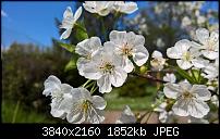 Kamera des Lumia 950 / 950 XL-wp_20160505_14_50_02_raw_635980867507969351.jpg