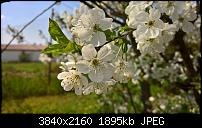 Kamera des Lumia 950 / 950 XL-wp_20160505_14_49_25_raw_635980867957732297.jpg