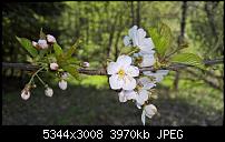 Kamera des Lumia 950 / 950 XL-wp_20160507_14_50_49_rich.jpg