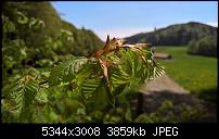 Kamera des Lumia 950 / 950 XL-wp_20160507_13_48_15_pro.jpg
