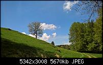 Kamera des Lumia 950 / 950 XL-wp_20160507_14_37_06_rich.jpg