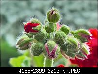 Kamera des Lumia 950 / 950 XL-wp_20160511_10_52_45_rich_li-2-.jpg