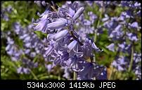 Kamera des Lumia 950 / 950 XL-wp_20160509_11_31_09_rich.jpg