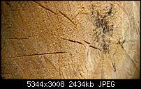 Kamera des Lumia 950 / 950 XL-wp_20160509_11_37_41_rich.jpg