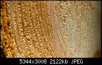 Kamera des Lumia 950 / 950 XL-wp_20160509_11_38_03_rich.jpg