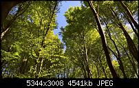 Kamera des Lumia 950 / 950 XL-wp_20160509_11_48_11_rich.jpg