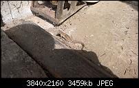 Kamera des Lumia 950 / 950 XL-wp_20160521_10_58_57_raw_635995536549236211.jpg