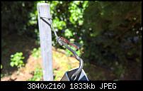 Kamera des Lumia 950 / 950 XL-wp_20160522_12_33_21_raw_635995537305427991.jpg