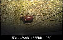 Kamera des Lumia 950 / 950 XL-wp_20160622_22_52_15_pro_636022690420347037.jpg