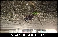 Kamera des Lumia 950 / 950 XL-wp_20160622_22_53_05_pro_636022690640855280.jpg