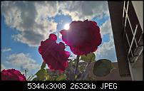 Kamera des Lumia 950 / 950 XL-wp_20160626_17_44_02_rich.jpg