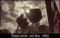 Kamera des Lumia 950 / 950 XL-wp_20160626_17_44_02_rich-3-.jpg