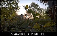 Kamera des Lumia 950 / 950 XL-wp_20160511_06_48_22_rich.jpg