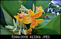 Kamera des Lumia 950 / 950 XL-wp_20160719_13_33_40_pro_636045541343291760.jpg