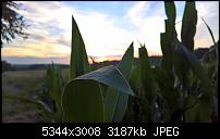 Kamera des Lumia 950 / 950 XL-wp_20160721_20_48_14_rich.jpg