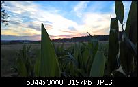 Kamera des Lumia 950 / 950 XL-wp_20160721_20_48_26_rich.jpg