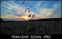 Kamera des Lumia 950 / 950 XL-wp_20160721_20_49_19_rich.jpg