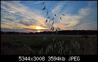 Kamera des Lumia 950 / 950 XL-wp_20160721_20_49_29_rich.jpg