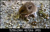 Kamera des Lumia 950 / 950 XL-wp_20160627_19_23_14_rich.jpg