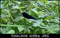 Kamera des Lumia 950 / 950 XL-wp_20160703_12_45_25_rich.jpg