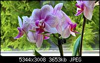 Kamera des Lumia 950 / 950 XL-wp_20160722_08_48_19_pro_636048767984996548.jpg