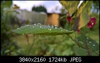 Kamera des Lumia 950 / 950 XL-wp_20160724_11_37_38_raw.jpg