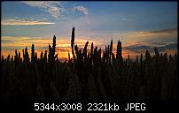 Kamera des Lumia 950 / 950 XL-wp_20160716_20_30_12_pro-2-.jpg