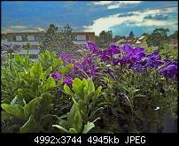 Kamera des Lumia 950 / 950 XL-wp_20160724_18_43_43_rich.jpg