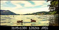 Kamera des Lumia 950 / 950 XL-adobephotoshopexpress_399d05e89f97450d8b4b8e7c4e466e6d.jpg