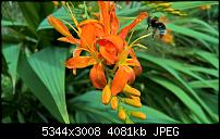 Kamera des Lumia 950 / 950 XL-wp_20160804_12_39_53_pro_636059813859669266.jpg