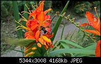 Kamera des Lumia 950 / 950 XL-wp_20160804_12_40_10_pro_636059822680409058.jpg