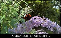 Kamera des Lumia 950 / 950 XL-wp_20160805_14_49_30_pro_636060257064776743.jpg